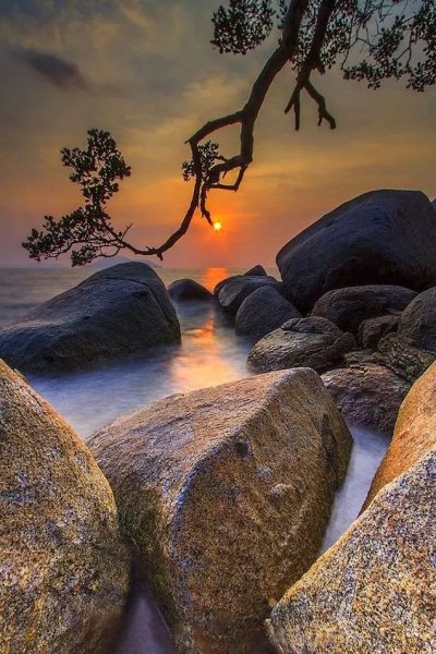 FB IMG 1555184873452