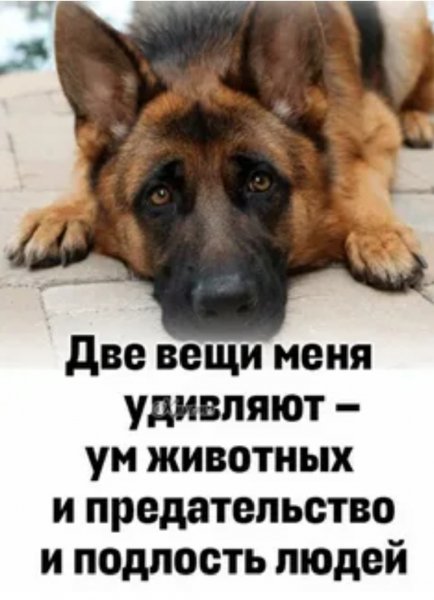 Две вещи...