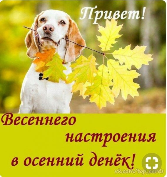 Привет!