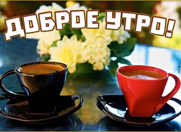 доброе утро 00889