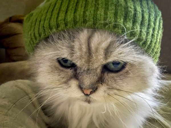 tumblr nfx3c8IioX1rppsk3o1 1280