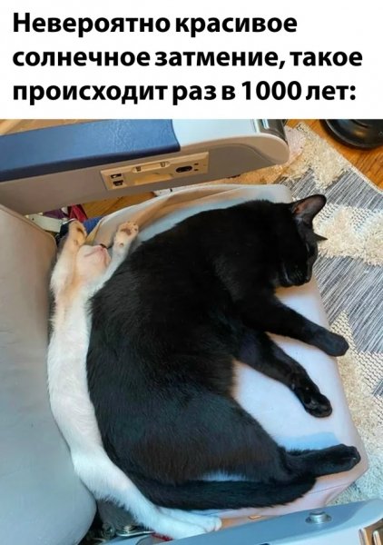 f.1200.1200.0