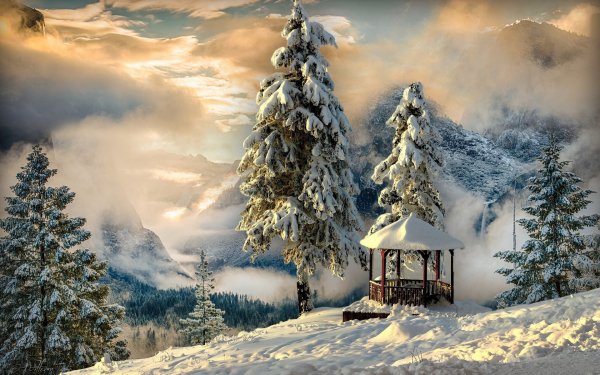 Nature Mountains Gazebo in the snowy forest in the mountain