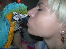 pics