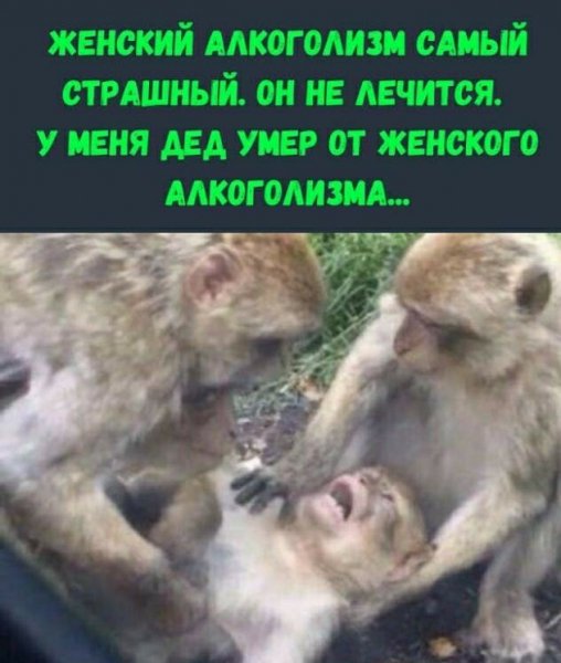 Алкоголизм )