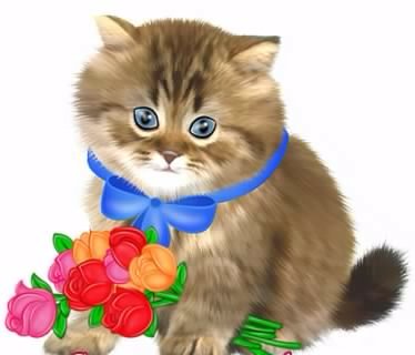 Kотик