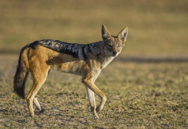 XnXipH8yd9xPMRi aFmXsaDXv F69fP82RPvAoSdMjqk78STzPuKaew3cnr4