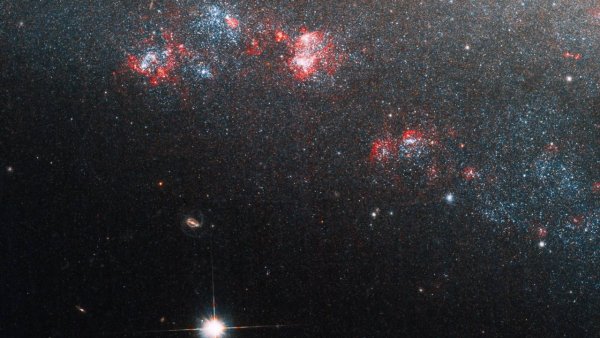 NGC247