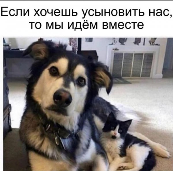 9e28c3f4e7 0000000000000000000