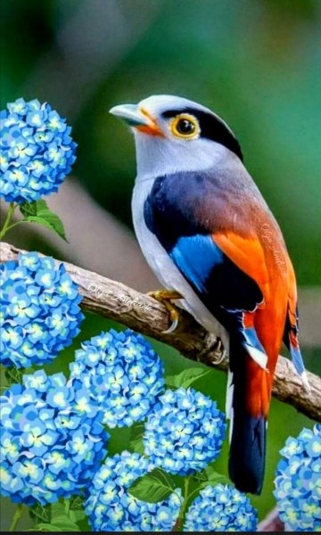 A961bd74a959f4c577baec445dfa4427