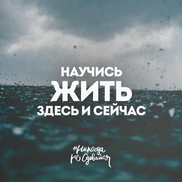 Верные слова!