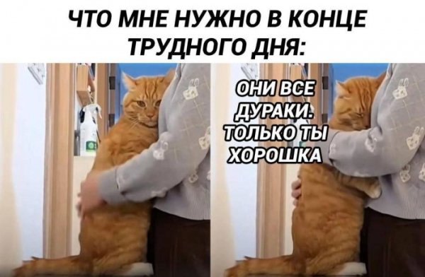 -sbornik-memov-i-kommentariev-iz-socialnyh-setej-10
