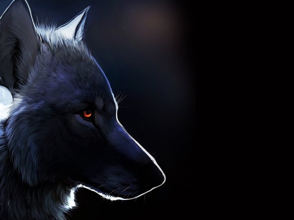 x768 zhivotnyie-volk-art
