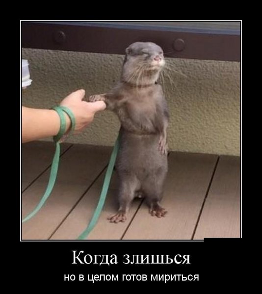 Когда злишься