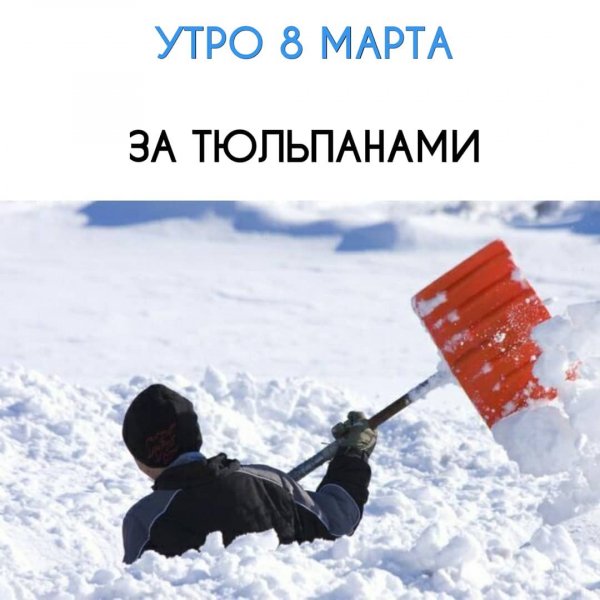 IMG-20180308-WA0003
