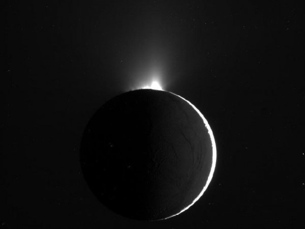 main image 1510 946-710