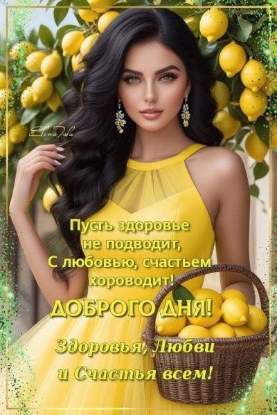 IMG-20250613-WA0017