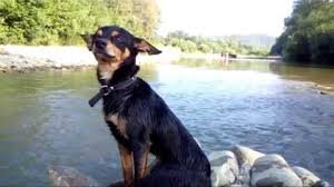 завантаження (3)