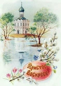 IMG-20200419-WA0008