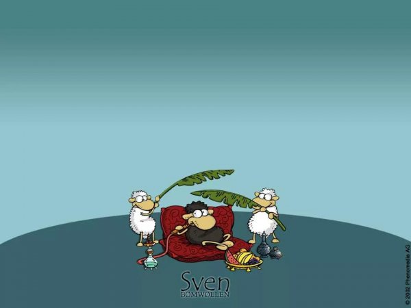 Image by Barashek Sven (49)