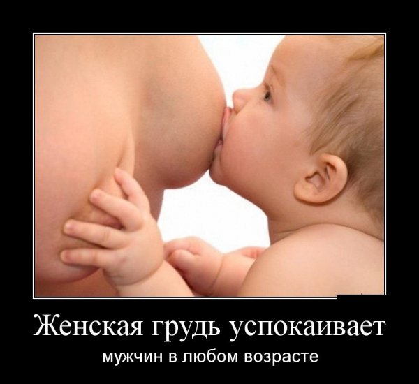 Женская грудь