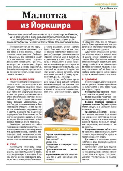 Йоркширский терьер