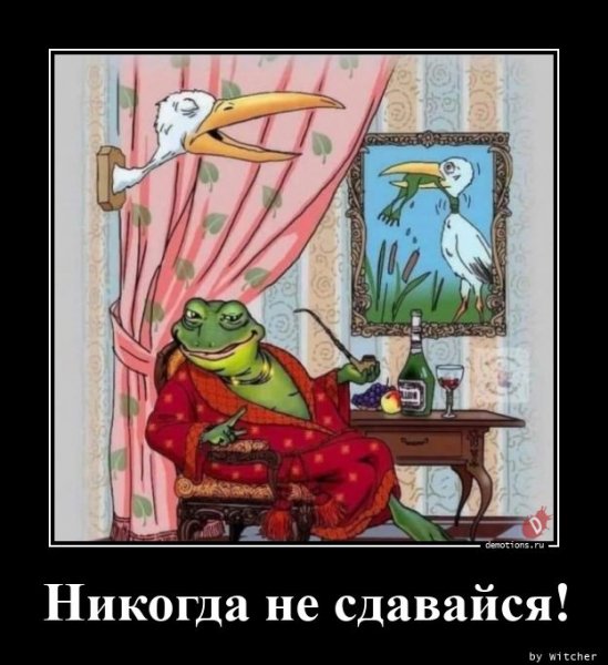 Nikogda-ne-sdavaysya demotions.ru