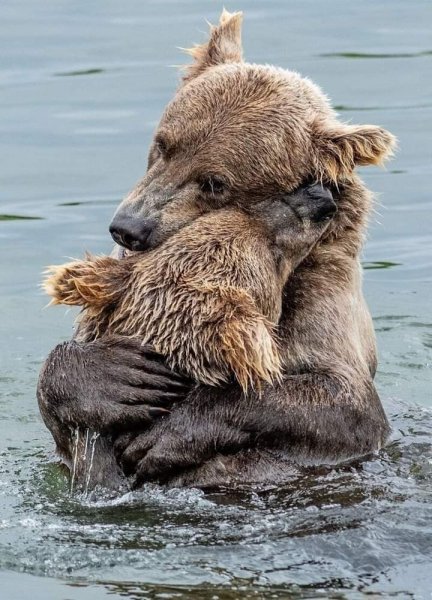 FB IMG 1620247326882