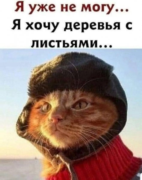 IMG 20250321 090442 422