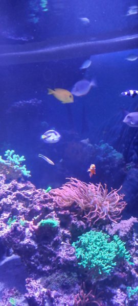 IMG 20250711 163723 513