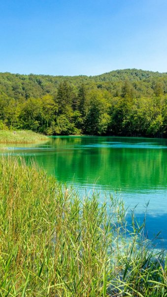 Screenshot 20251028-210327 One UI Home