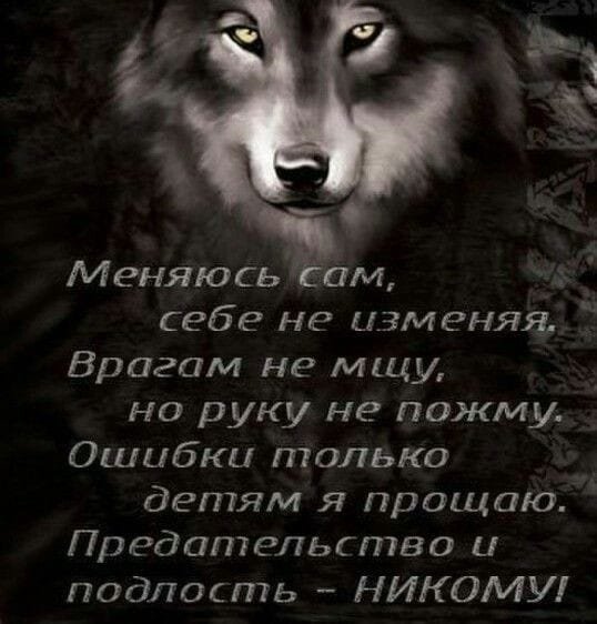 IMG-20200614-WA0052