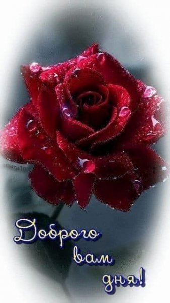 e4210a5b0e9f2f572367c2ebc187e