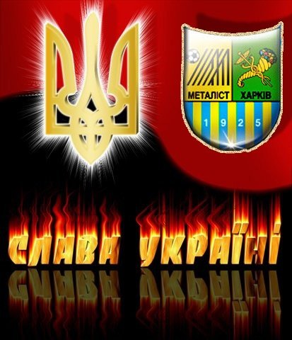 c8eb копия