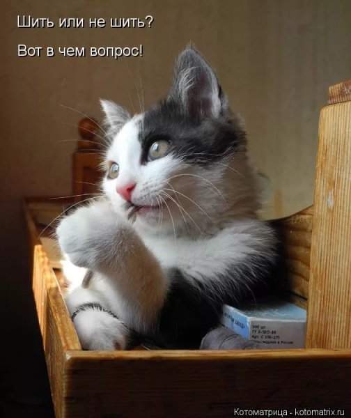 Вот в чем вопрос!