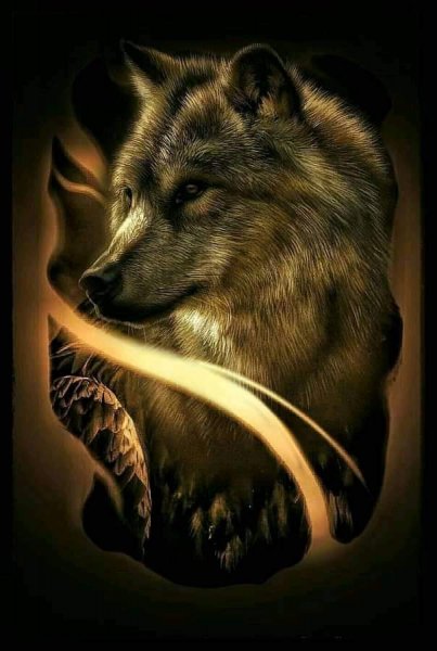 19-06-27-254068247 629842448187075 302069923176480995 n