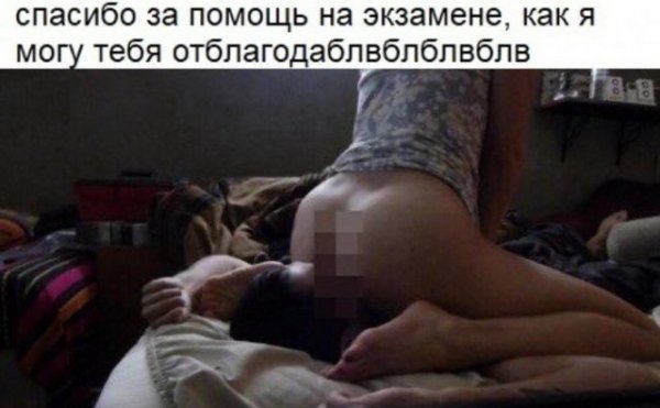 shutok.ru.18878514 1