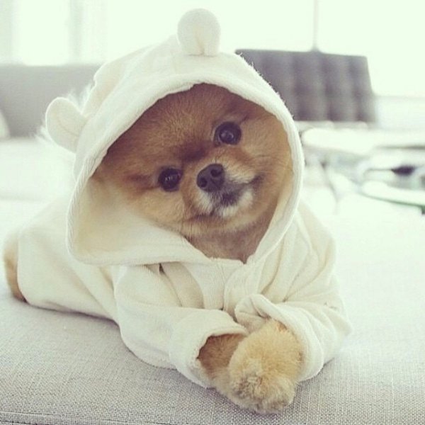 IMG 20150711 231439 41