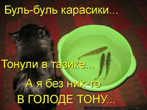 В голоде тону...