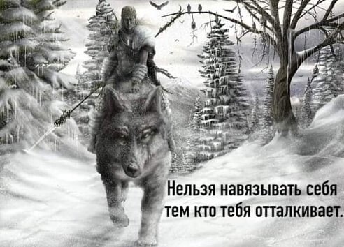 image (2) (15)