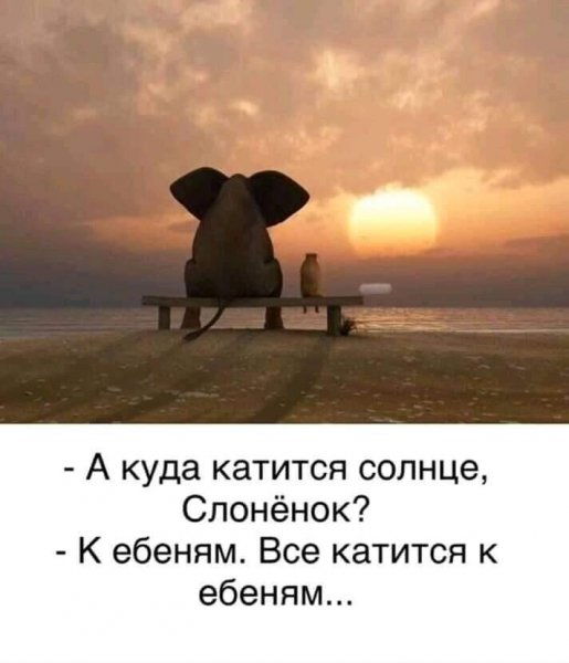 img(2)