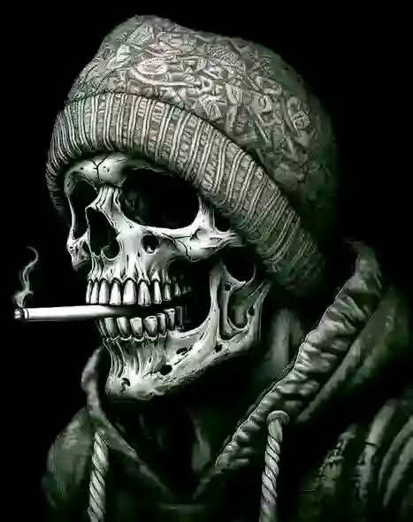 FB IMG 1735828518712