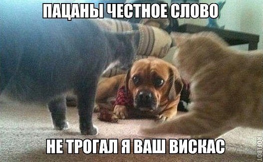 Доброе утро!