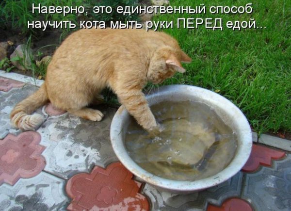 Перед едой...