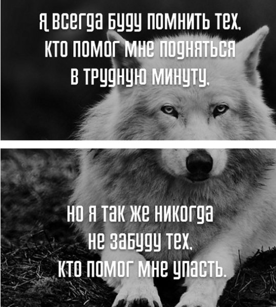 IMG 20170124 192643 41