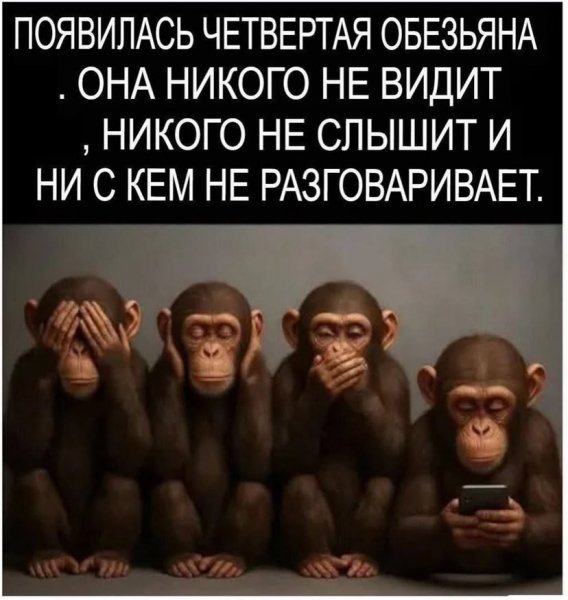 Kelinvibes ba46fbae193d48fd