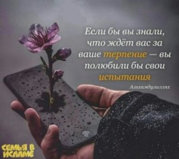 IMG 20211223 022734