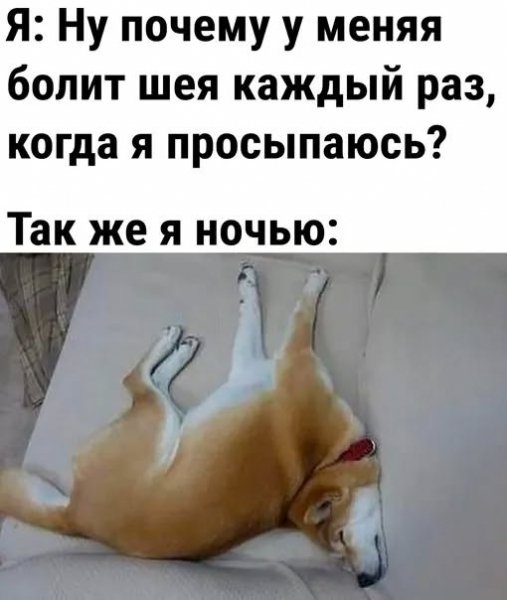 dfacf 19732365