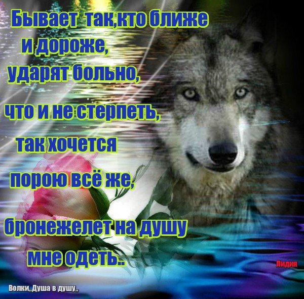 IMG 20161027 214825 1