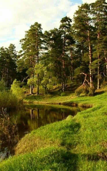 IMG 20210812 134059